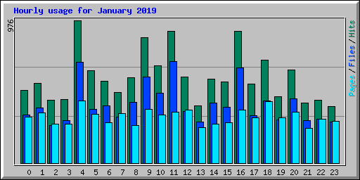 Hourly usage for January 2019